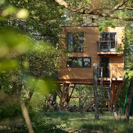 Domek Na Drzewie W Dolinie Uradu エクステリア 写真